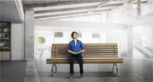 Art / Culture / Sciences